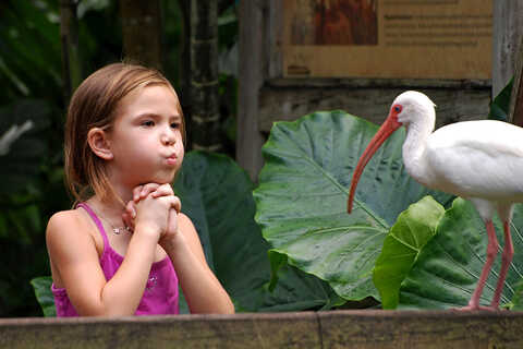 Miami Flamingo Gardens and Wildlife Sanctuary